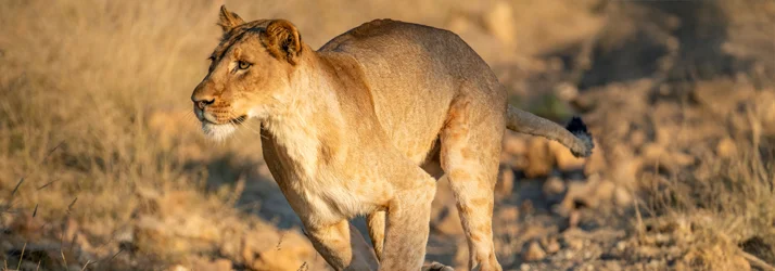 Evidence-Based Menopause Care in Chandler AZ