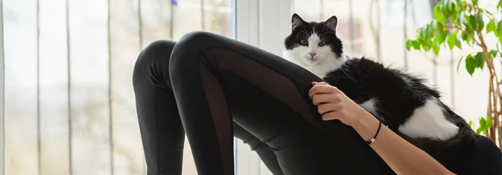 Protein Nutrition, Hormones, and Weight Loss in Chandler AZ